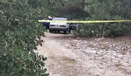 Tavşanlı'da iki günlük sessizlik ormanlık alanda son buldu