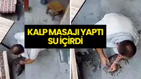 Bursa’da Sıcaktan Bayılan Kedi, Esnafın Müdahalesiyle Hayata Döndü!