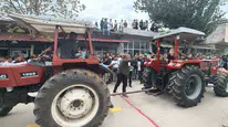 Zeytin bahçelerinde devlerin mücadelesi: Traktörler güçlerini yarıştırdı