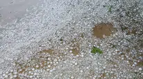 Kırklareli Dokuzhöyük köyünde dolu yağışı tarlaları vurdu