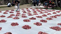 Yüksekova’da kurbanlar tek sofrada birleşti