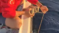 Kuşadası açıklarında vicdansızlığın böylesi görüldü