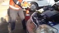 Hendek'te otomobilin kaputuna giren davetsiz misafir