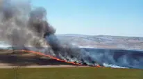Tekirdağ'da tarlaları küle çeviren yangın kontrol altına alındı