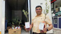 Belediye başkanından düğün davetiyle birlikte 5 bin zeytin fidanı