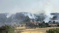 Balıkesir Altıeylül’de orman yangını paniği
