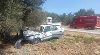 Havran'da kontrolden çıkan otomobil zeytinliğe daldı