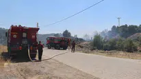 Aydın Koçarlı'da zeytinlikleri saran alevler söndürüldü