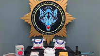 Malatya polisinden İstanbul merkezli dev uyuşturucu operasyonu
