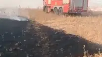 Batman'da alevler 150 dönümü küle çevirdi