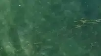 Erdek'te boğulan kişiyi dron operatörü kurtardı
