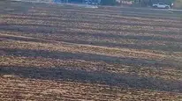 Eskişehir’de bahçe temizliği yangınla bitti