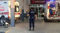 İncir bahçesinde domuz nöbeti acı bitti