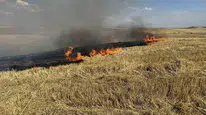 Çorum Alaca’da 150 dönüm arazi küle döndü