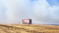 Rüzgar alevleri büyüttü, ekipler tarlaya sıçratmadı