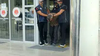 On yıllık firar bitti suikast timinin son ismi cezaevinde