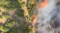 Balıkesir Manyas’ta tarım alanından ormana sıçrayan yangın paniği