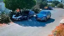 Bodrum'da vicdansızlık kamerada: İki köpeği ezip hiçbir şey olmamış gibi yoluna devam etti