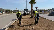 Bandırma'nın çehresi değişti: Şehrin girişine estetik dokunuş