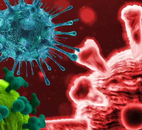Kongo’da Ebola alarmı 2026: Ölümcül Bundibugyo suşu nedir, aşısı var mı? Türkiye için risk var mı?