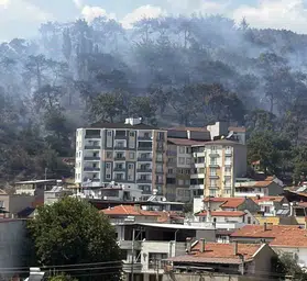 Korkutan alevler: Ekipler havadan ve karadan seferber oldu