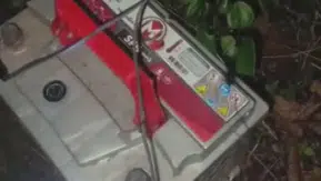 Fındık bahçelerinde gizli tuzak: Göç yolundaki kuşları avlamak için teknolojiye başvurdular