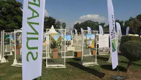 Adana Lezzet Festivali'nde plastik devri kapanıyor: Mısır nişastasından üretilen doğa dostu çözüm