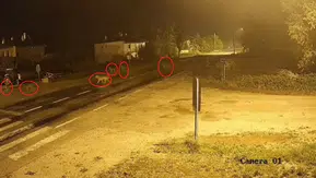 Yukarı Kırzı köyünde gece yarısı tedirgin eden ziyaret: Kurt sürüsü sokaklarda görüntülendi