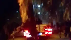İzmir'de kurbanlık dana dereye uçtu