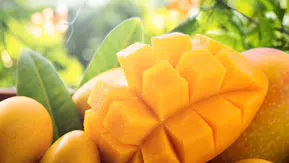 Çöpe attığınız o parça aslında bir hazineymiş: Mango kabuğunun şaşırtıcı etkisi