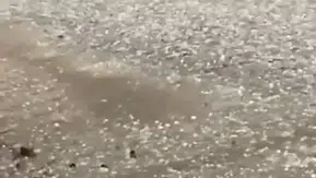 Tekirdağ'da sağanak ve dolu hayatı felç etti