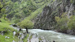Muş’ta köprüden suya düşen kadın ikinci günde de bulunamadı
