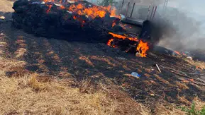 Tarsus’ta hasat telaşı kabusa döndü