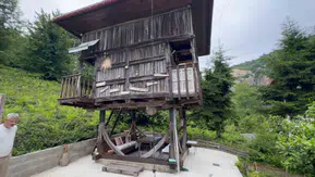 Rize’de 70 yıllık serender öğretmen çiftle yeniden ayağa kalktı