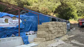 Bursa'da orman yangınına sebep olan şüpheli yakalandı