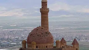 İshakpaşa Sarayı’nın kubbesi yabani otlarla kaplandı
