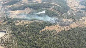 Milas Bağdamlar’da alevlere hızlı müdahale