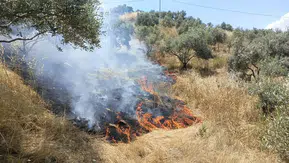 Aydın Yenipazar'da makilik alanda çıkan yangın kontrol altına alındı
