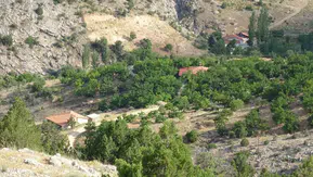 Kayıp Aysel Yıldırım için sarp arazide geniş çaplı arama
