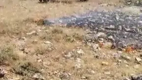 Gercüş’te alevler tarlaların kapısına dayandı