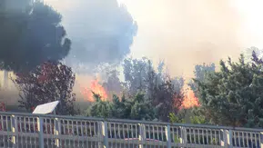 Kağıthane'de otluk alandaki yangın korkuttu