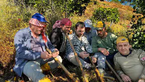 Aydın incir bahçelerinde milli maç molası