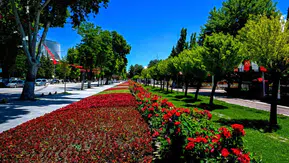 Malatya’nın parklarına 800 binden fazla çiçek dikildi
