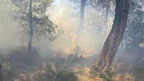 Çanakkale Kızılkeçili köyünde tarım arazisi alevlere teslim oldu