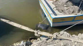 Samandağ kıyısında cansız beden bulundu