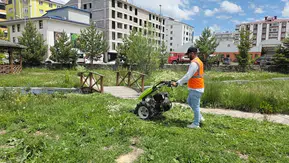 Ardahan’da yağmur sonrası ot temizliği mesaisi başladı