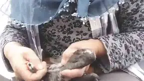 Trabzon’da karabatak kurtarma operasyonu beklenmedik bir şekilde bitti