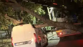 Sancaktepe'de fırtına ağacı devirdi aracın tavanını çökertti
