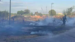 Aydın’da bir ağılı yangın küle çevirdi