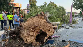 İstanbul’da aniden bastıran fırtına hayatı felç etti